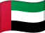 AED flag