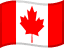 CAD flag