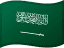SAR flag