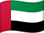 AED flag